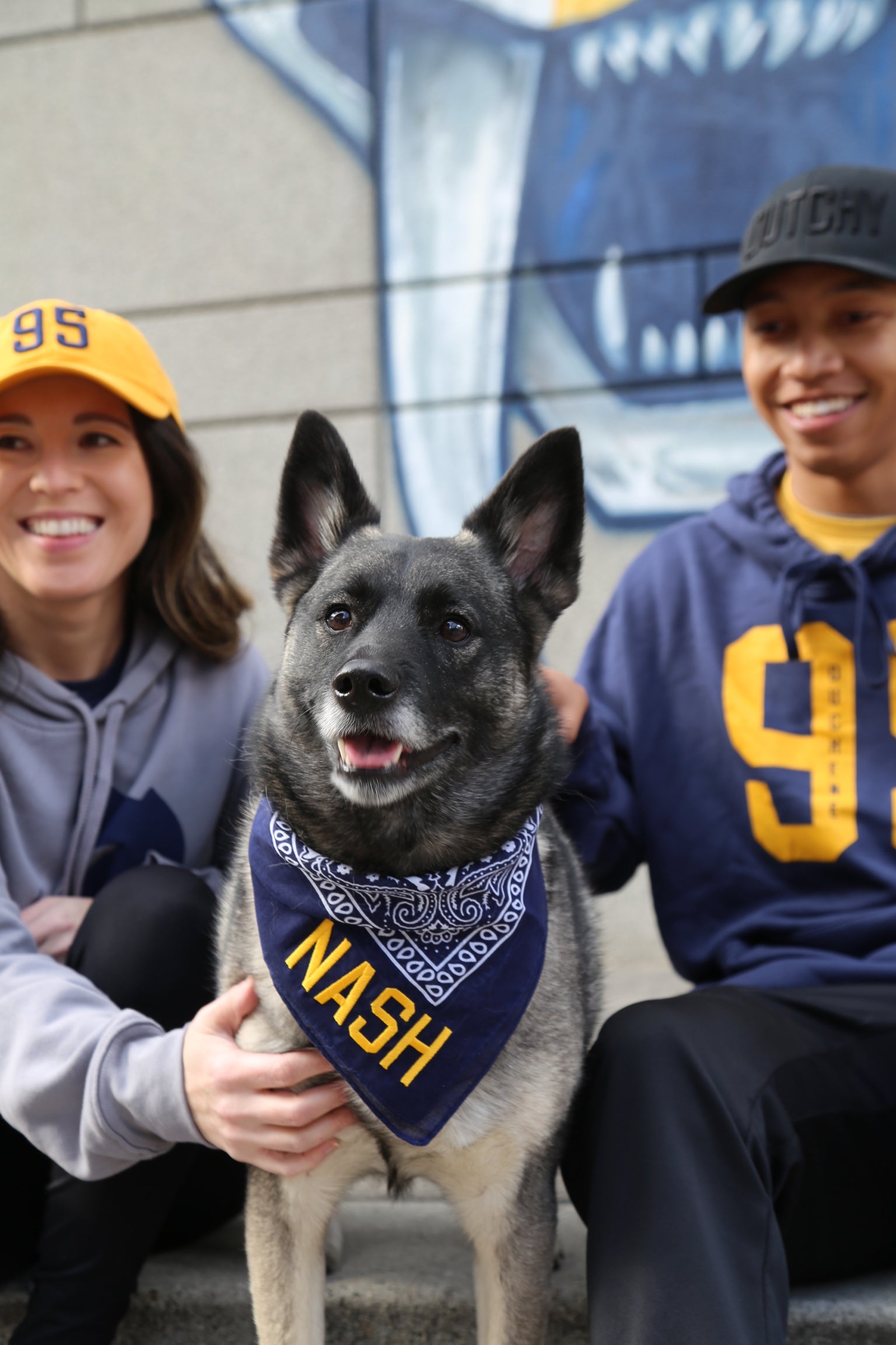 Dog wearing navy bandana with gold embroidered nash