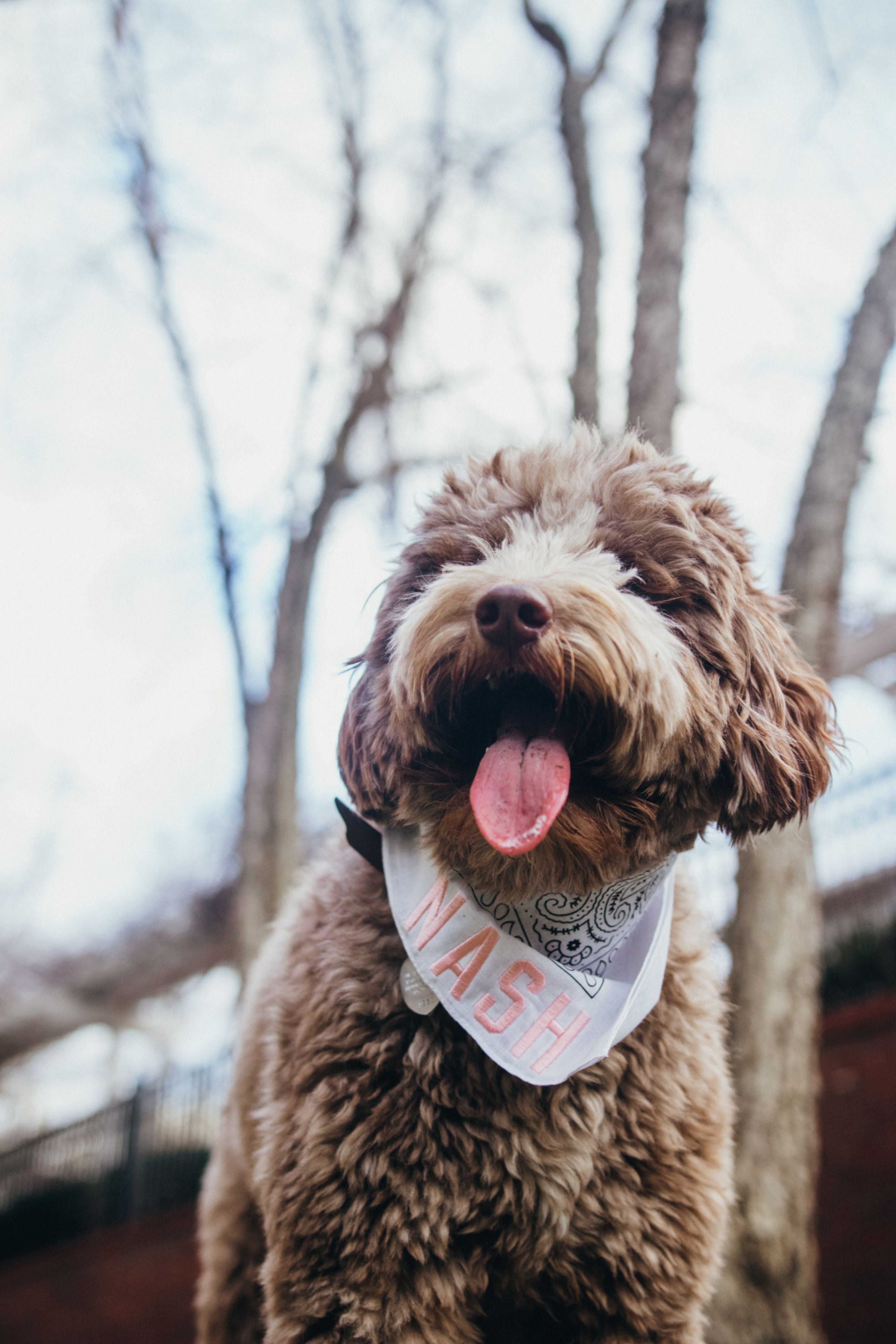 White bandana with blush pink nash embroidered 